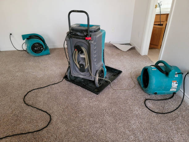 Best Water damage restoration cost  in Four Square Mile, CO