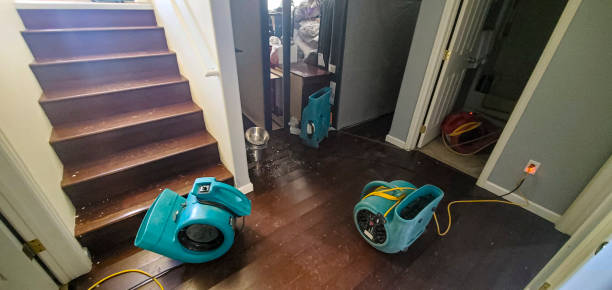 Best Water damage repair service  in Four Square Mile, CO