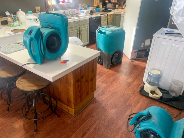 Best Water damage cleanup near me  in Four Square Mile, CO