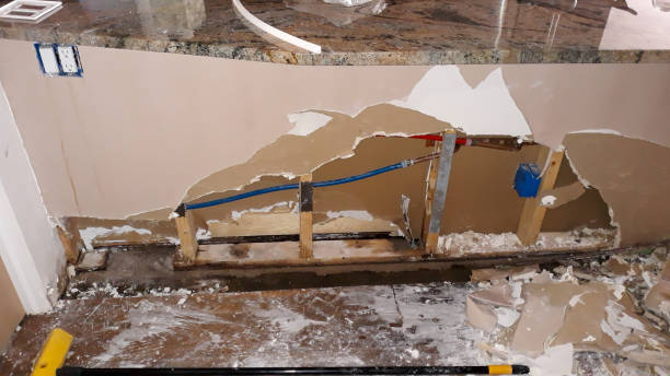Best Water damage restoration specialists  in Four Square Mile, CO