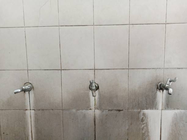 Best Emergency water damage restoration  in Four Square Mile, CO