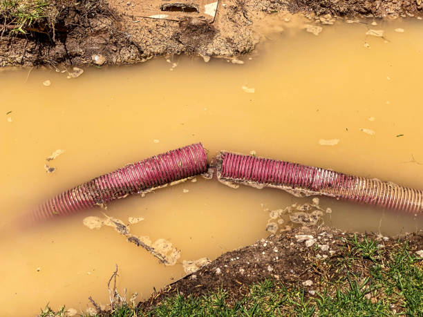 Best Basement water damage restoration  in Four Square Mile, CO