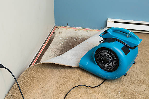 Best Flooded house restoration  in Four Square Mile, CO
